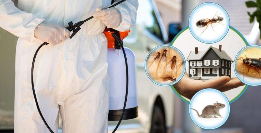 Beylikova Böcek İlaçlama