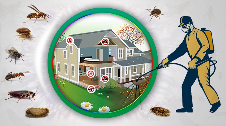 Beylikova Böcek İlaçlama