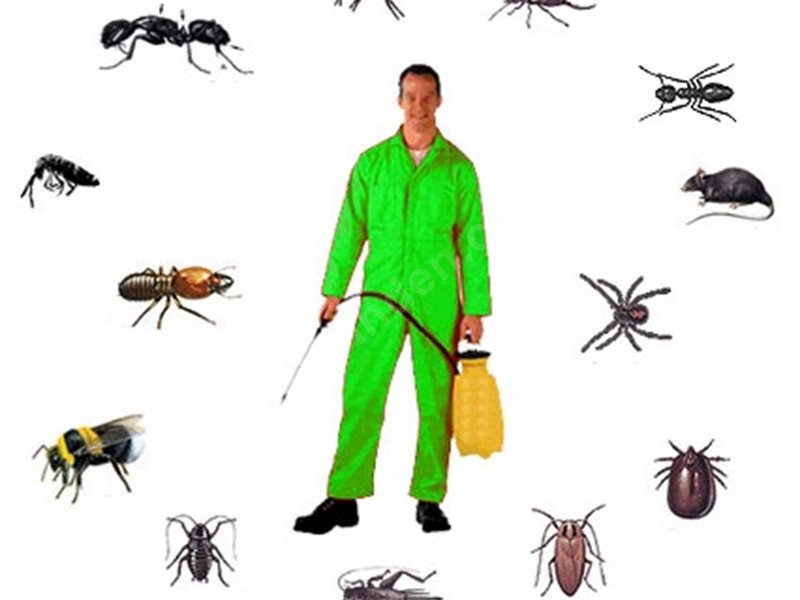 Beylikova Böcek İlaçlama